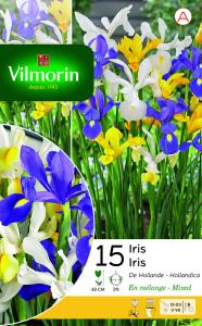 Iris De Hollande En Mélange (x15)